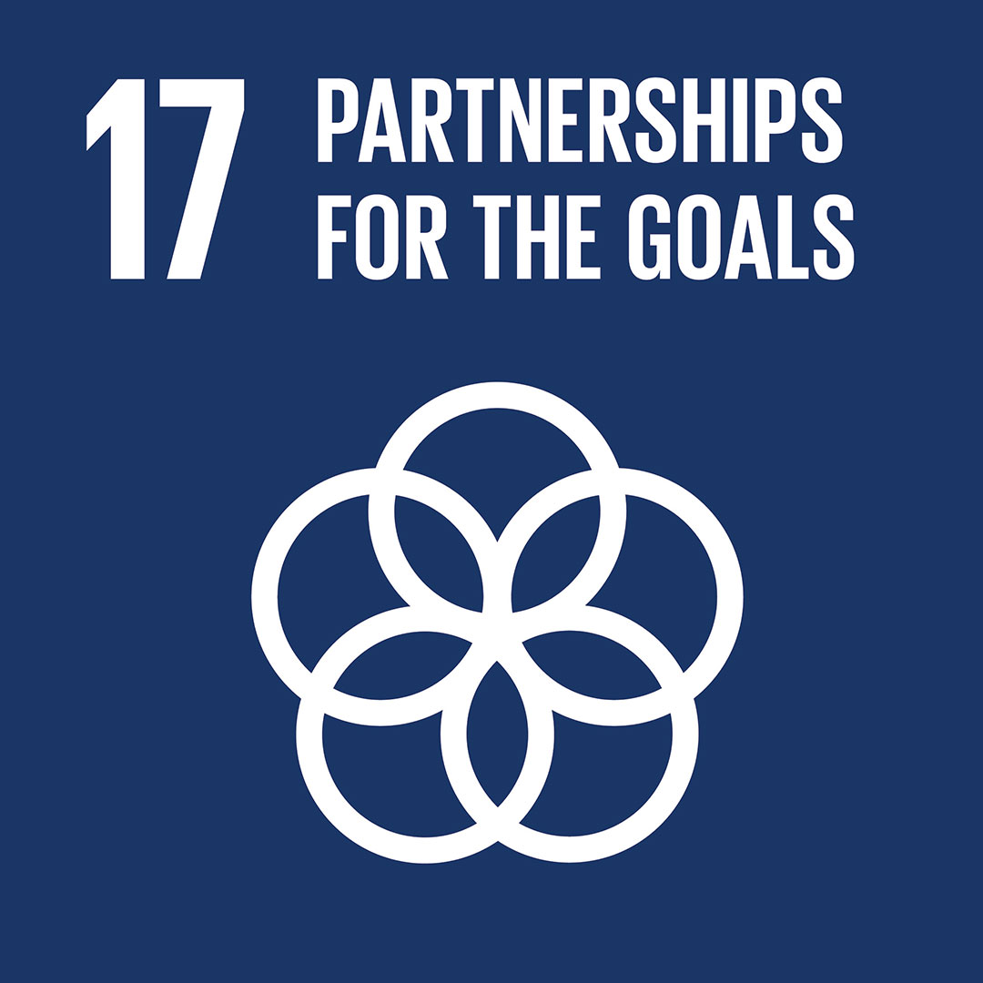 SDG 17